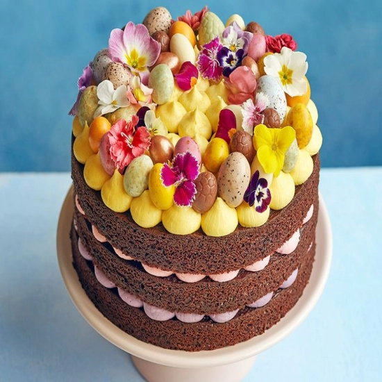 Chocolate & vanilla celebration cake