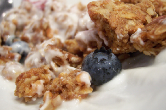 Blueberry Granola Bars