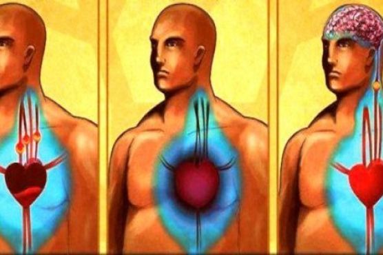 Clean Your Arteries And Prevent Heart Attack And Stroke Only With One Glass Of This Powerful Drink