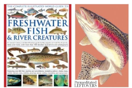 Fish Unit Study Resources