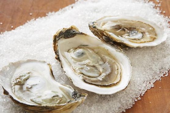 Fried Oysters with Spicy Rémoulade