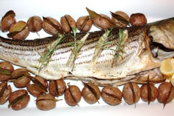 Herb Roasted Striped Bass