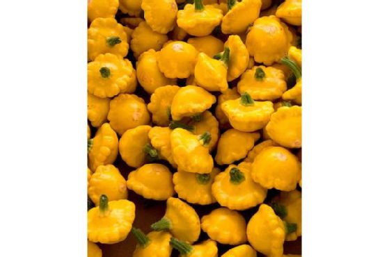 Ricotta Sunburst