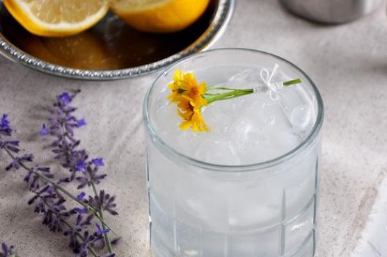 Rum Daisy Cocktail